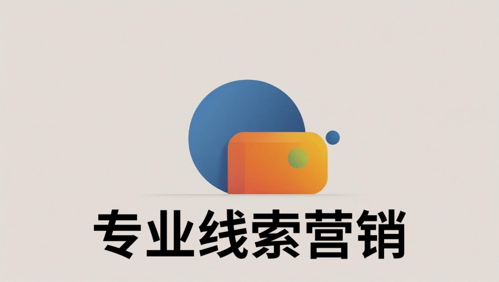 专业线索营销