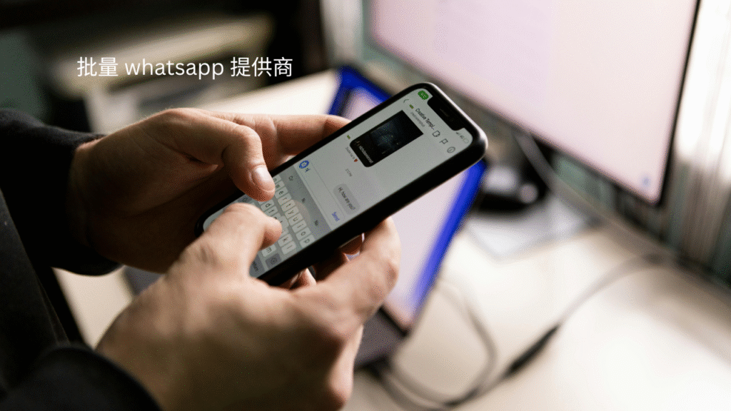 批量 WhatsApp 提供商