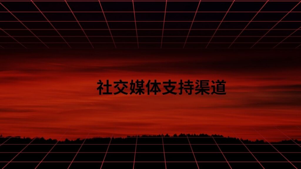 社交媒体支持渠道
