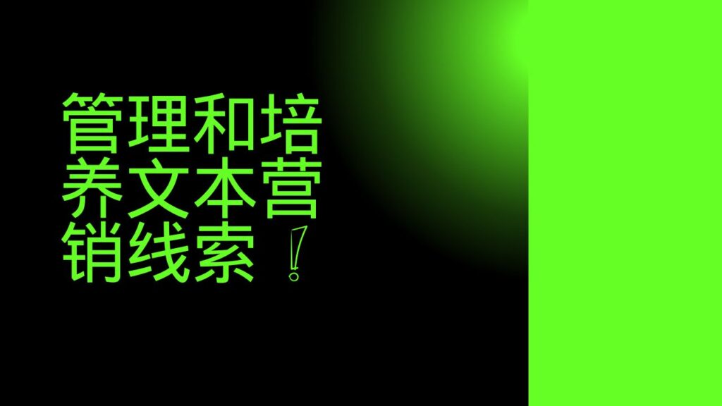 管理和培养文本营销线索